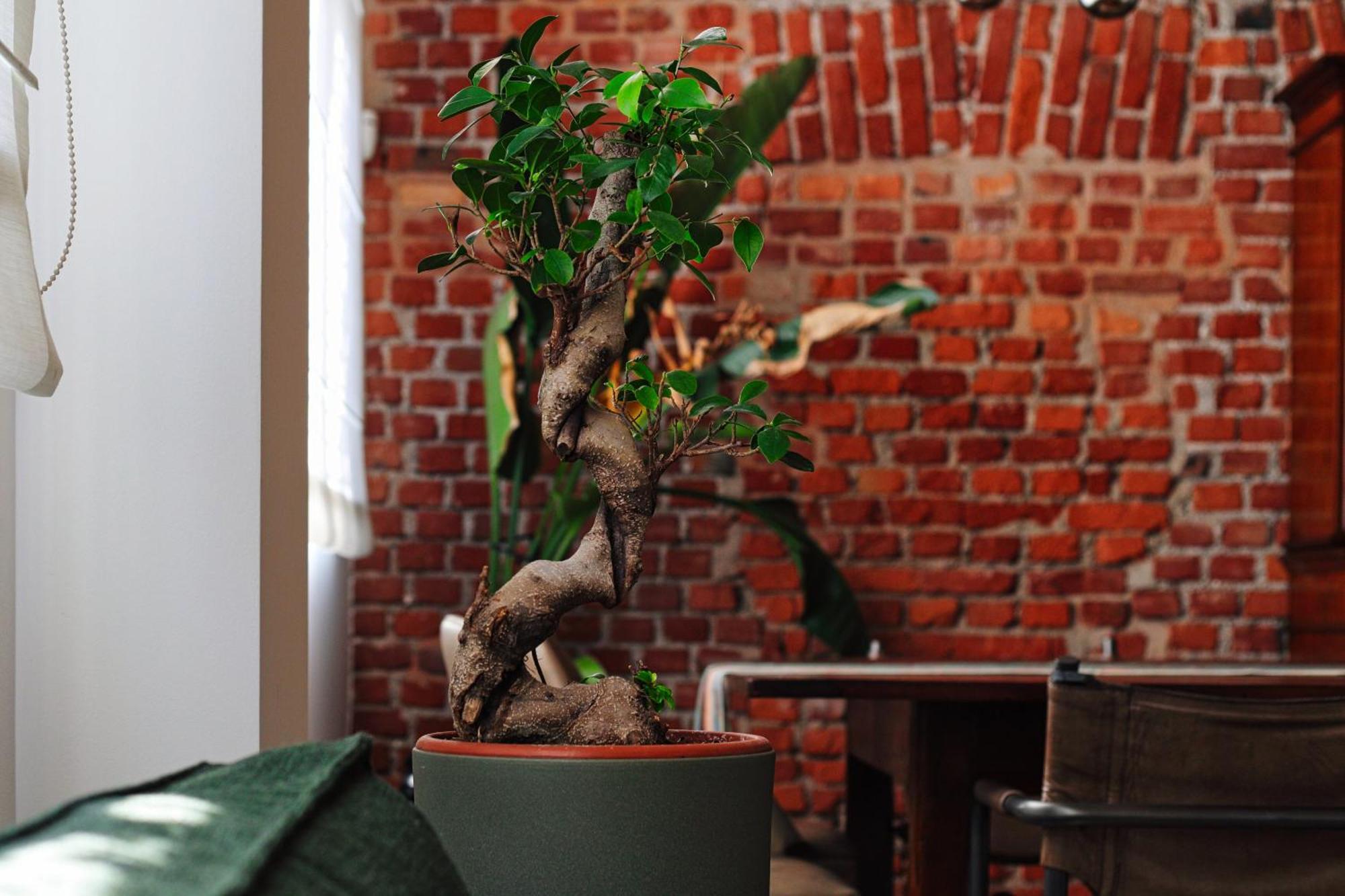 Apartment Luxury Loft Navigli Milan